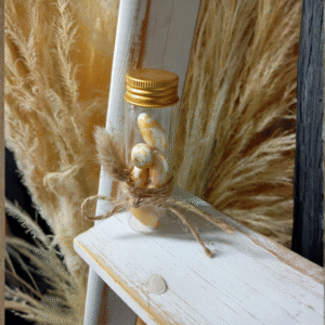 Μπομπονιέρα δοκιμαστικός σωλήνας με αποξηραμένα